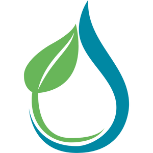 Streeploos en Glanzend